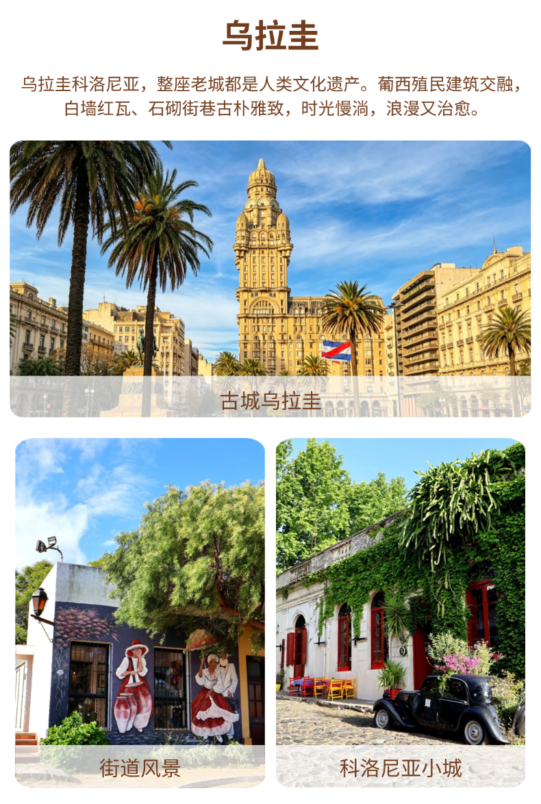 稿定设计-6 稿定设计-6